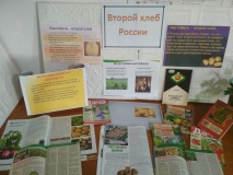 Иллюстративная выставка «Второй хлеб России». Любимовская библиотека.