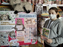 Книжная выставка «Без кота и жизнь не та». Чкаловская библиотека.